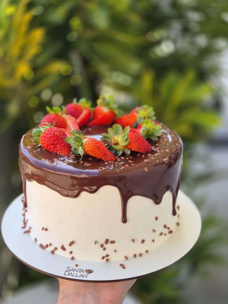 Bolo Aniversário